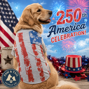 250th Anniversary USA Zack & Zoey America's Pup Flag Dog Tee Gray Large