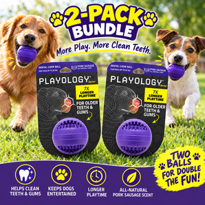Playology Dental Chew Ball Toy for Senior Dogs Medium Pork Sausage 2-Pack