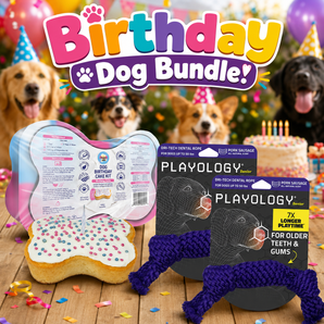 Birthday Cake Celebration Kit & 2 Playology Medium Pork Sausage Scent Rope Toys Dog Bundle