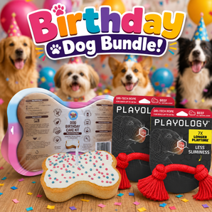 Peanut Butter Birthday Cake Celebration Kit & 2 Playology Beef Scent Rope Toys Medium Dog Bundle