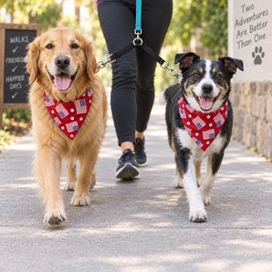 All-American Walking Bundle for Two Small Dogs 2 Patriotic Dog Bandana and Guardian Gear 4-Inch Coupler