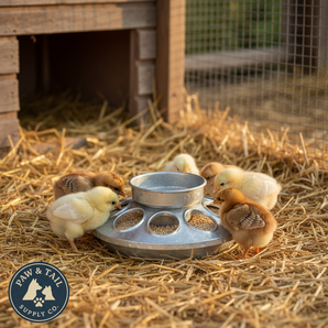 Miller Jar Galvanized Feeder Base for Chick Baby 1qt