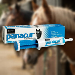 Panacur Equine Paste 10% Horse Dewormer 25g Apple Flavor 100mg