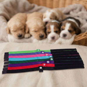 Total Pet Health Puppy ID Collars Nylon Adjustable 10-16" Large 8-Pack