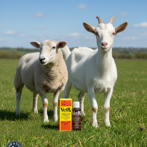 VetRx Goat & Sheep Relief & Prevention Respiratory Infections & Ear Mites 2 oz.