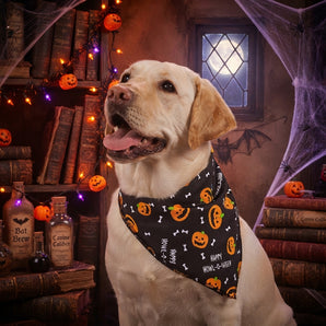 Aria Halloween Dog Bandana Pumpkin Bone Howl-O-Ween Pet Accessory 2-Pack