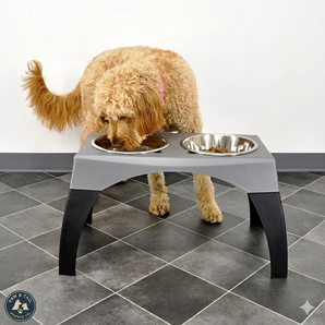 Bergan Elevated Pet Feeder Large Stainless Steel Double Bowls Adjustable Legs