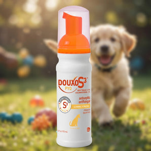 Douxo S3 PYO Mousse Dogs & Cats No-Rinse Skin Coat Care 5.1 oz