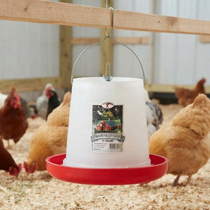Little Giant Plastic Hanging Poultry Feeder Holds 11-Pound Feed 2-Pack
