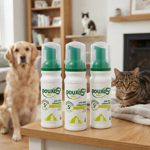 Douxo S3 SEB Mousse for Dogs & Cats Skin Coat Care 5.1 oz. 3-Pack