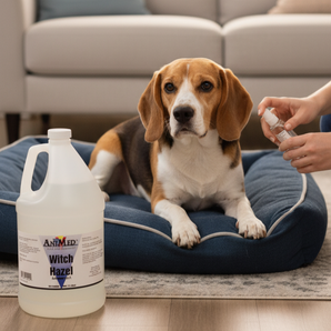 AniMed Witch Hazel Astringent for Animals Gallon, Soothes Skin Irritations