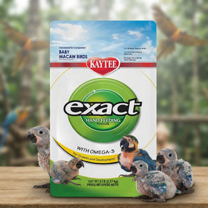 Kaytee Exact Hand Feeding For Baby Macaws 5lbs.