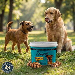 Stewart Freeze-Dried Chicken Liver Dog Treats Food Topper 1.5 oz