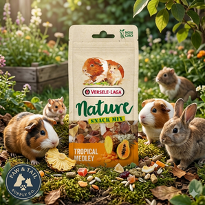 Versele-Laga Nature Tropical Medley Small Animal Treat Mix 3 oz. Grain Free Fruit Snack