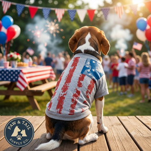 250th Anniversary USA Zack & Zoey America's Pup Flag Dog Tee Gray S/M