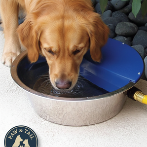 Bear Bear Pet Sir Aqua II Automatic Float Waterer 1.8 Gallon Silver Blue