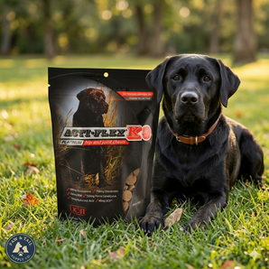 Cox Veterinary Acti-Flex K-9 Platinum Hip & Joint Chews 12 oz. Dog Joint Supplement