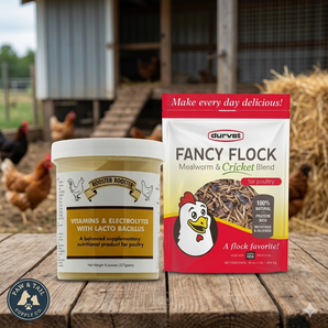 Rooster Booster Vitamins & Electrolytes + Fancy Flock Mealworm & Cricket Treats Poultry Wellness Bundle