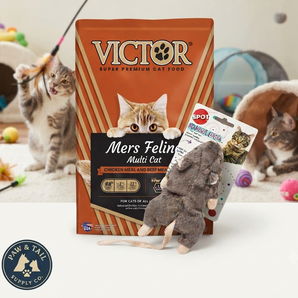 Victor Mer's Feline High Protein Dry Cat Food 5 lb + SPOT Big Mouse Bertha Catnip Plush Mouse Toy Bundle