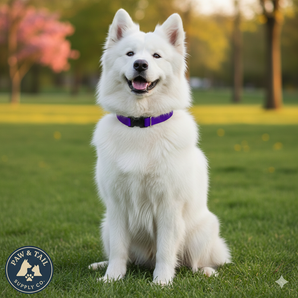 Lupine Pet 2 Hole Adjustable Nylon Replacement Dog Collar Strap 3/4 inch, Purple