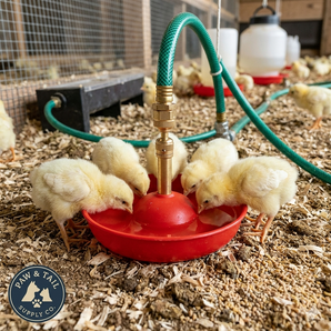 Little Giant Baby Chick Automatic Waterer 2PCK Bundle + FREE Sav-A-Chick Vitamins & Electrolytes 3PCK