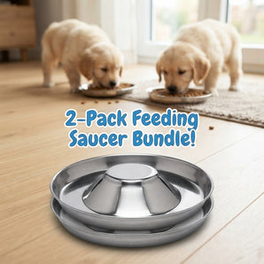 Puppy & Kitten Litter Feeding Saucer 2-Pack – 11" Metal Food & Water Feeders