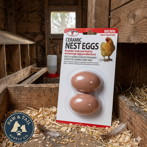 Little Giant Ceramic Nest Eggs 2 Pack Fake Eggs for Chicken Coops Brown