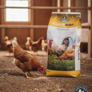 18% Chick Scratch 50lbs. Natural Grain Mix for Healthy Adult Poultry