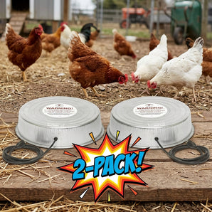 Little Giant Water Heater Base for Poultry Freeze Prevention Metal Fount 110W 2-Pack
