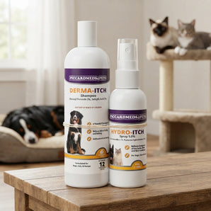 Piccardmeds4pets Derma-Itch Benzoyl Peroxide 3% Shampoo 12 oz + Hydro-Itch 1% Spray 4 oz Bundle