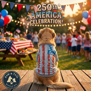 250th Anniversary USA Zack & Zoey America's Pup Flag Dog Tee Gray XL