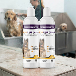 Piccardmeds4pets Fresh Piña Colada Aloe and Oatmeal Shampoo for Pets 16 oz. 2-Pack