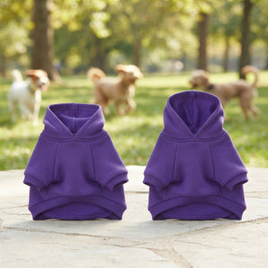 Zack & Zoey Basic Hoodie for Dogs Ultra Violet Cotton Blend Large 20" 2-Pack
