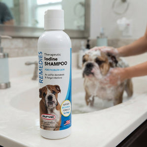 Durvet Naturals Remedies Therapeutic Iodine Shampoo for Dogs 8 oz.