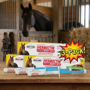 Durvet Ivermectin Horse Wormer Paste Apple Flavor Oral Syringe 6.08g 3-Pack