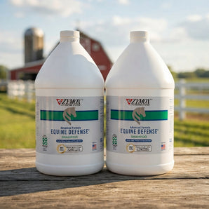 ZYMOX Equine Defense Advanced Formula Shampoo Gallon for Horses 2-Pack