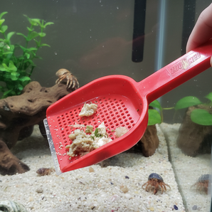 Zoo Med Hermit Crab Scooper, Assorted