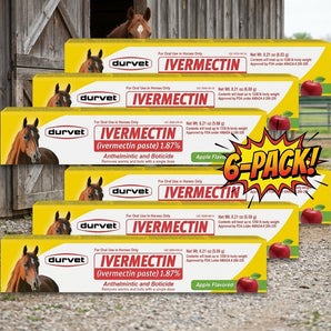 Durvet Ivermectin Horse Wormer Paste Apple Flavor Oral Syringe 6.08g 6-Pack