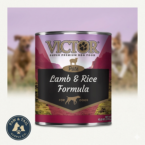Victor Lamb And Rice Recipe Canned Wet Dog Food 13.2oz