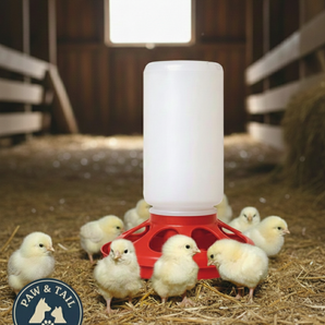 Little Giant 1 Qt Plastic Chick Feeder Jar & Base Set Red Baby Poultry