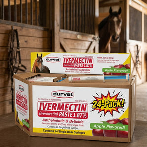 Durvet Ivermectin Horse Wormer Paste Apple Flavor Oral Syringe 6.08g 24-Pack