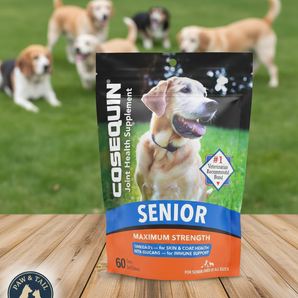Cosequin Senior Joint Health Soft Chews for Dogs 60ct Max Strength