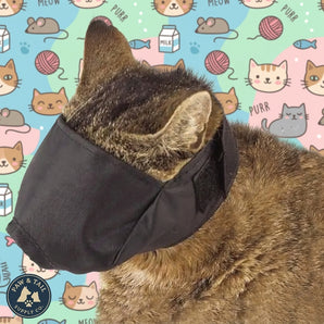 Top Performance Lined Nylon Cat Muzzle Black Adjustable Hook & Loop