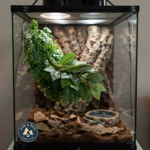 Zoo Med Natural Bush Plastic Plant Reptile Terrarium Decor Medium