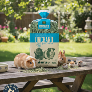 Standlee Premium Orchard Grass Hay 48oz. Bag Small Animal Forage USA Grown