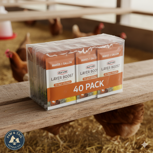 Durvet Layer Boost Omega-3 Poultry 4g 40-Pack Vitamins Electrolytes Laying Hens