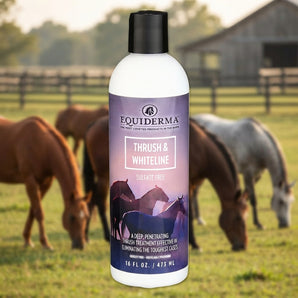 Equiderma Thrush & White Line Treatment for Horses 16 oz.