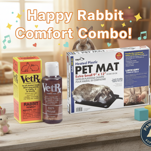 VetRX Rabbit Respiratory Aid 2oz + API Heated Pet Mat 9x12 Perfect Rabbit Combo