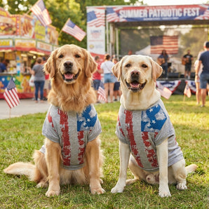 Zack & Zoey America's Pup Flag Print Dog Shirt Gray XL 2-Pack