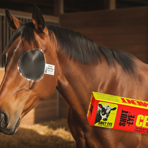 Durvet Shut-Eye Cement Tube 5 oz. Livestock Pinkeye Patch Adhesive Tagging